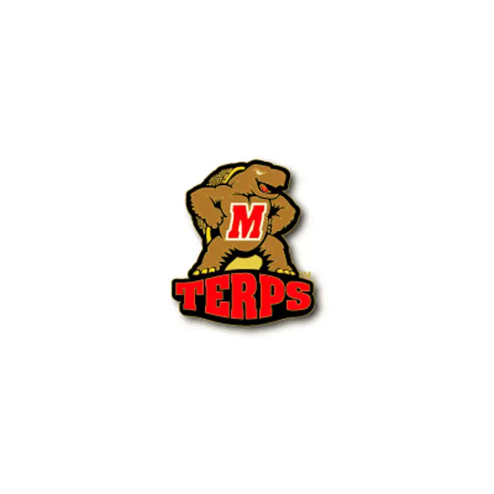 Épingle de logo Aminco du Maryland