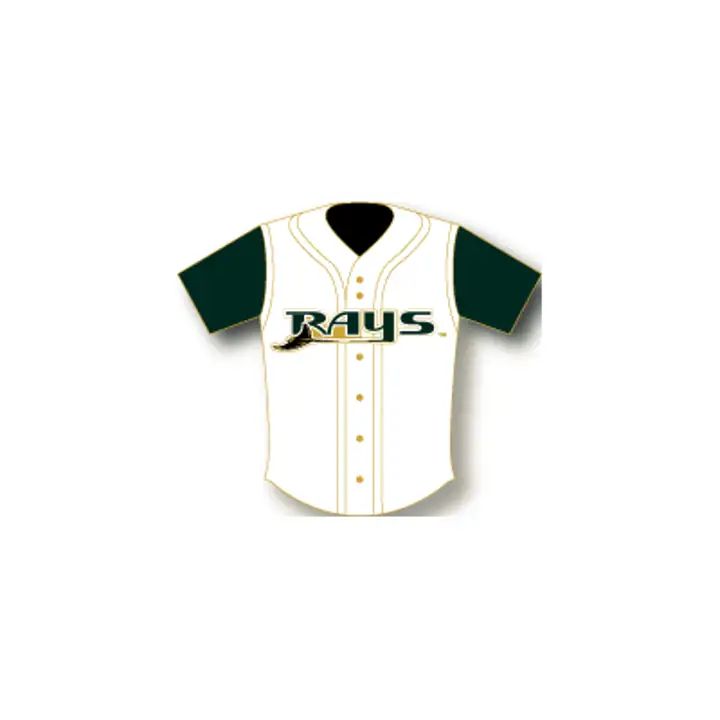 RAYS Épinglette de maillot Aminco - Équipe