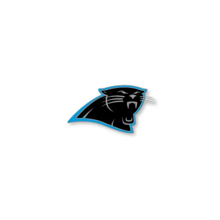PANTHERS Aminco Logo Pin noir/bleu