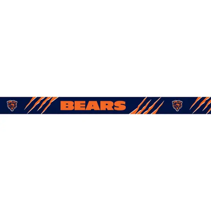 Collier pour chien BEARS TP