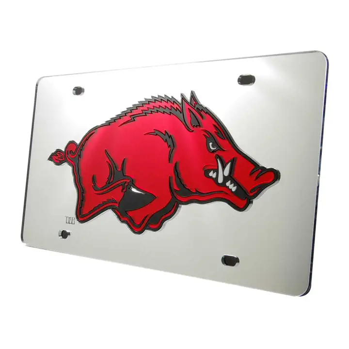 Arkansas LASER TAG HOG silv