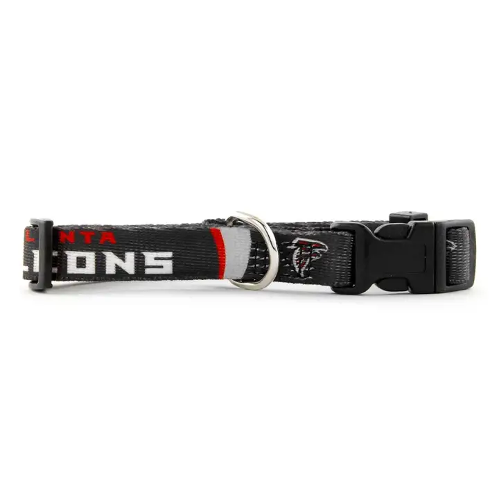 Collier pour chien FALCONS P