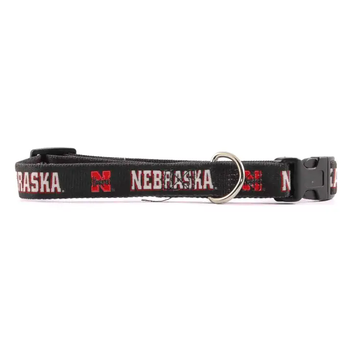 Collier pour chien Nebraska P.