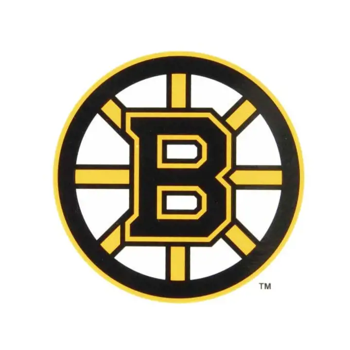 Autocollant statique Bruins