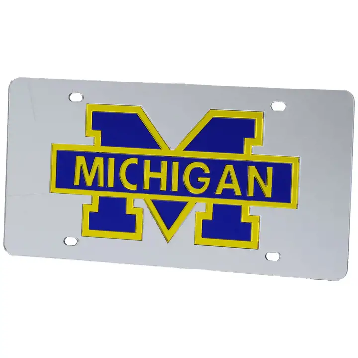 Michigan LASER TAG silv