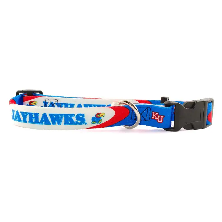 Collier pour chien Kansas Sm