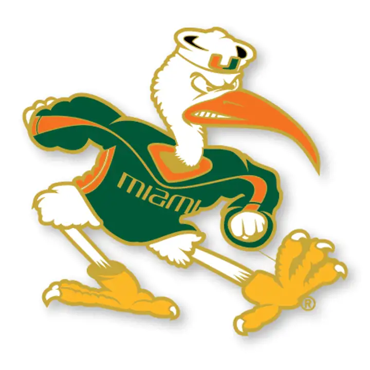 Épingle Mascotte Miami Aminco