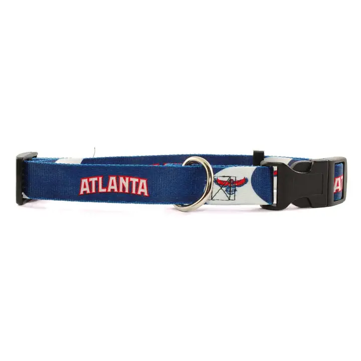 Collier pour chien HAWKS G