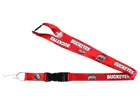 Lanyard