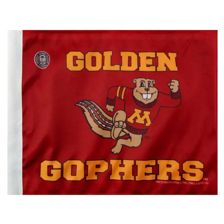 Drapeau de voiture Minnesota Rico