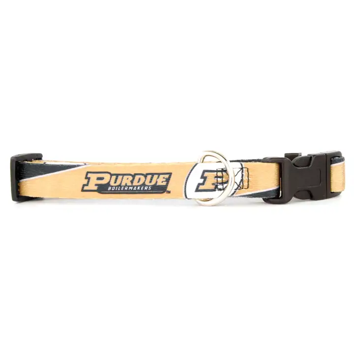 Collier pour chien Purdue, taille M.