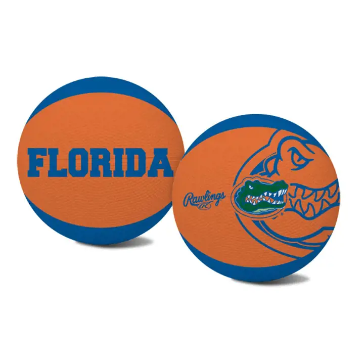 Basketball jeune Florida Alley Oop