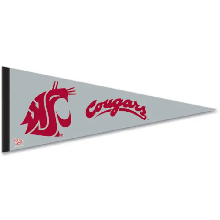 Fanion Premium Washington State 12x30