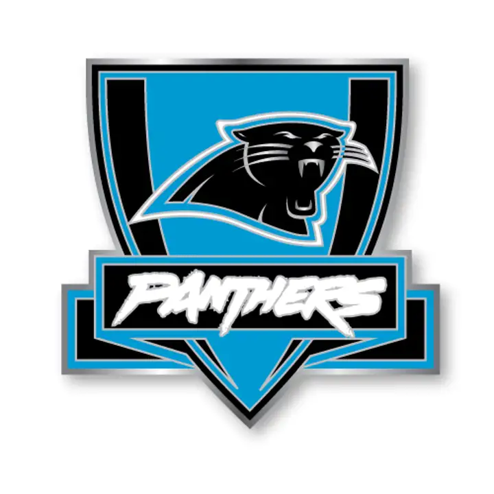 Épingle à l'effigie des Panthers Aminco