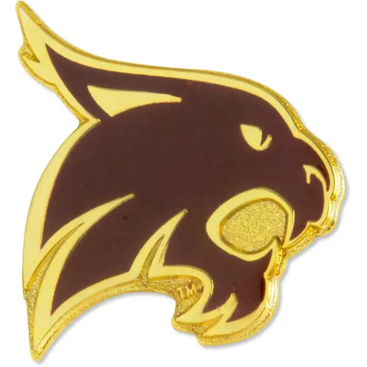 Épingle logo Texas St Aminco