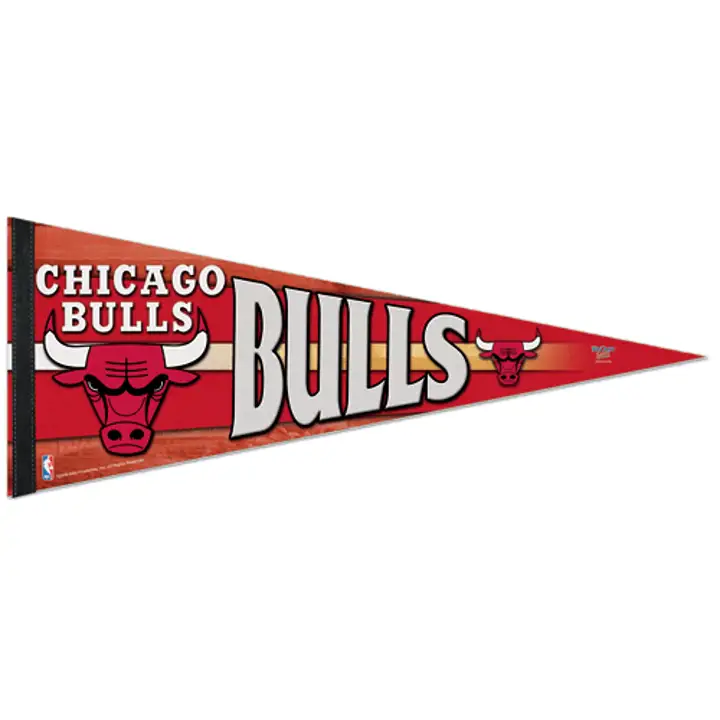 Fanion Premium BULLS 12x30