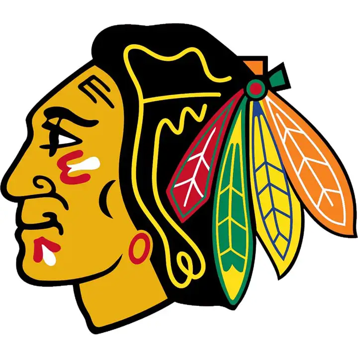 Décalque découpé BLACKHAWKS 4x4 - Tête de Blackhawk couleur