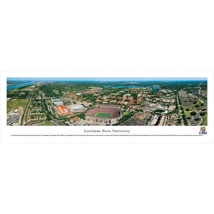 LSU Tigres Combattants Panoramique Sans Cadre   Ast