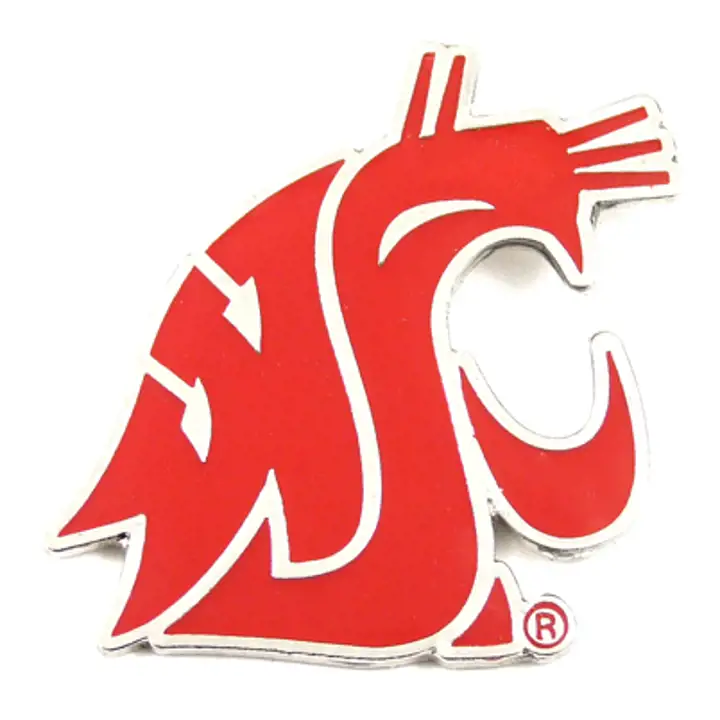 Épingle à revers logo État de Washington Aminco
