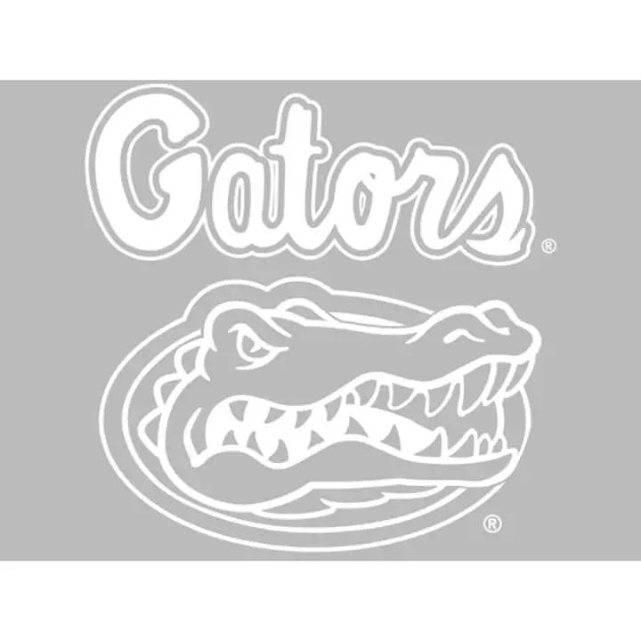 FloridaDieCutDecal8x8Blanc  /blanc