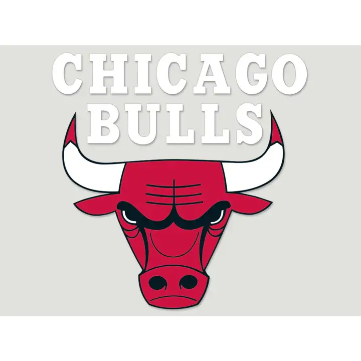 Autocollant découpé 8x8 Chicago Bulls