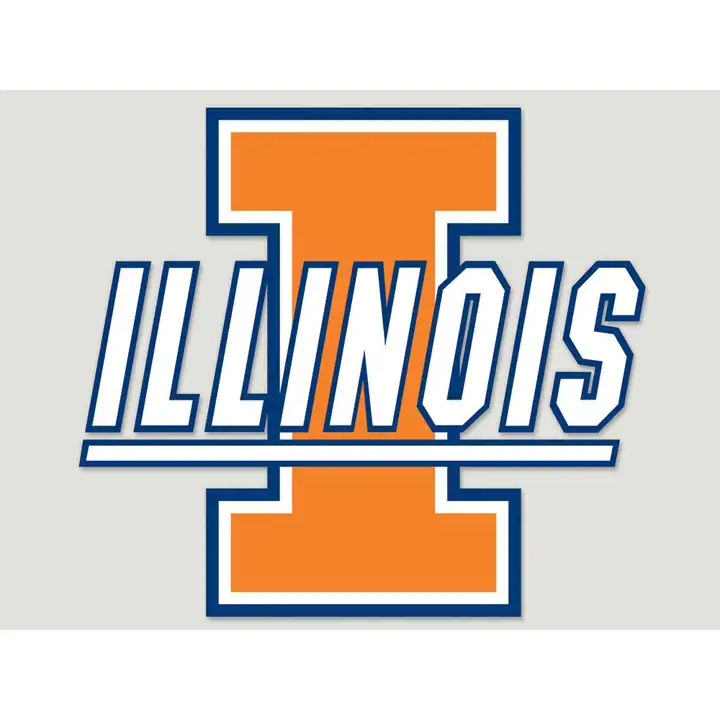 Autocollant de voiture 20x20 cm Illinois Fighting Illini