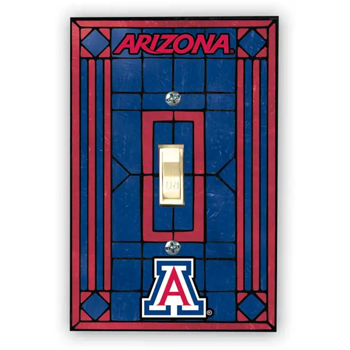 Cache-interrupteur Arizona - Simple