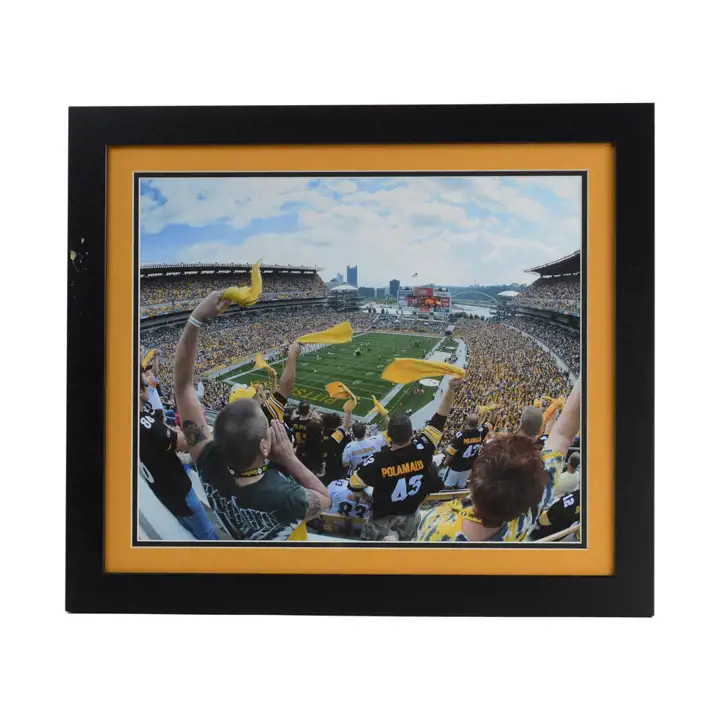 Photo Double Couleur STEELERS 22"x25" Heinz Field