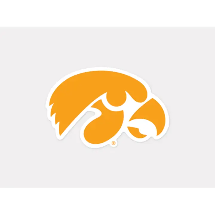 Iowa Die Cut Decal 4x4 - Color