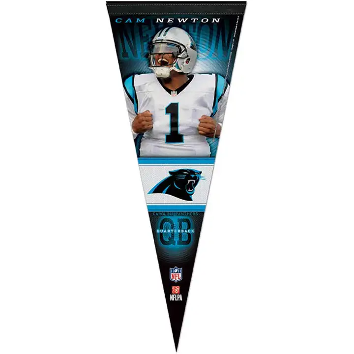 PANTHERS 12x30 Fanion de joueur de qualité supérieure Newton