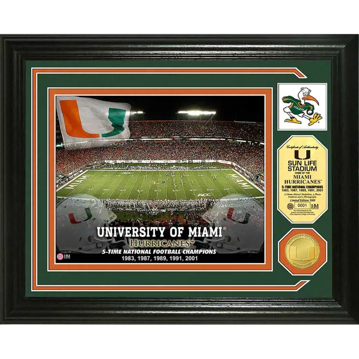 Miami (FL) Pièce commémorative Photo - Stade Sun Life en bronze