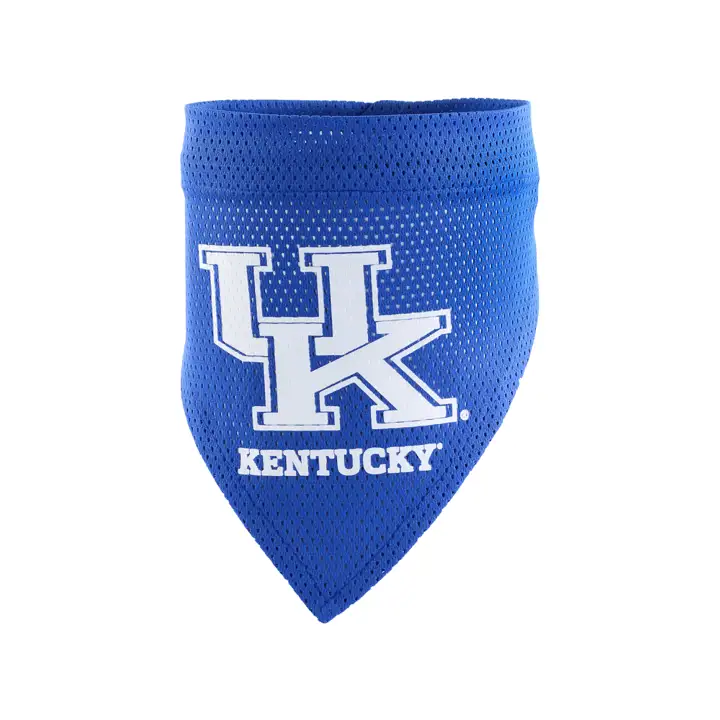 Bandana Kentucky pour animaux de compagnie T/M - DIVERS NOUVEAUTÉ bleu/blanc