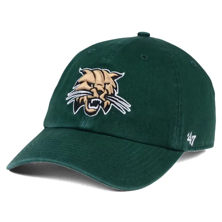 Nettoyage d'Ohio-NCAA BOBCAT vert