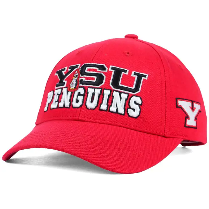 Youngstown NCAA Teamwork rouge