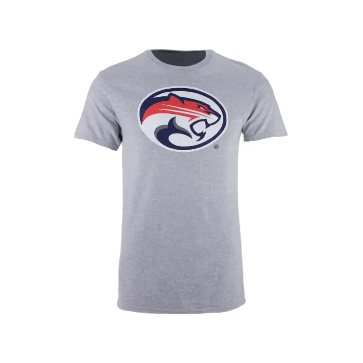 T-shirt HOUSTON 2F NCAA Big Logo Gris