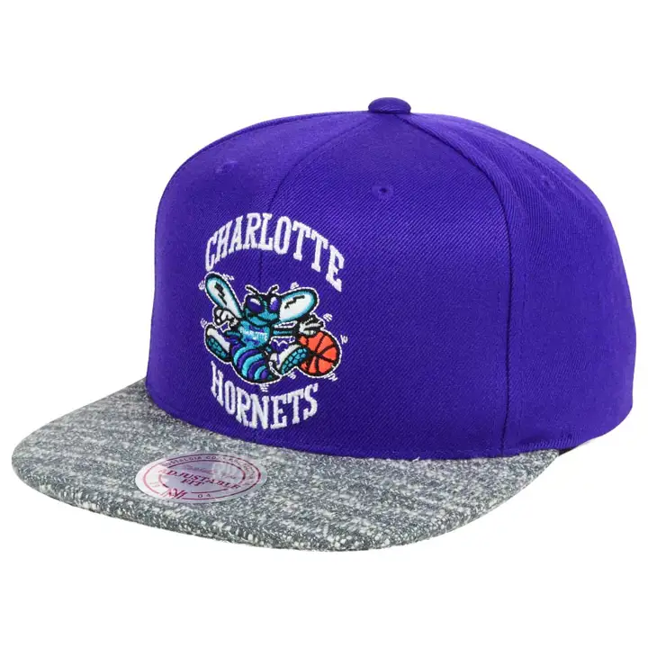 Charlotte Hornets NBA M&N TC Gris Noise Snap pur/Gris clair