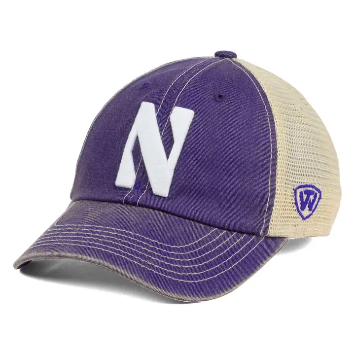 Northwestern Wildcats NCAA Wickler Mesh VIOLET/taupe