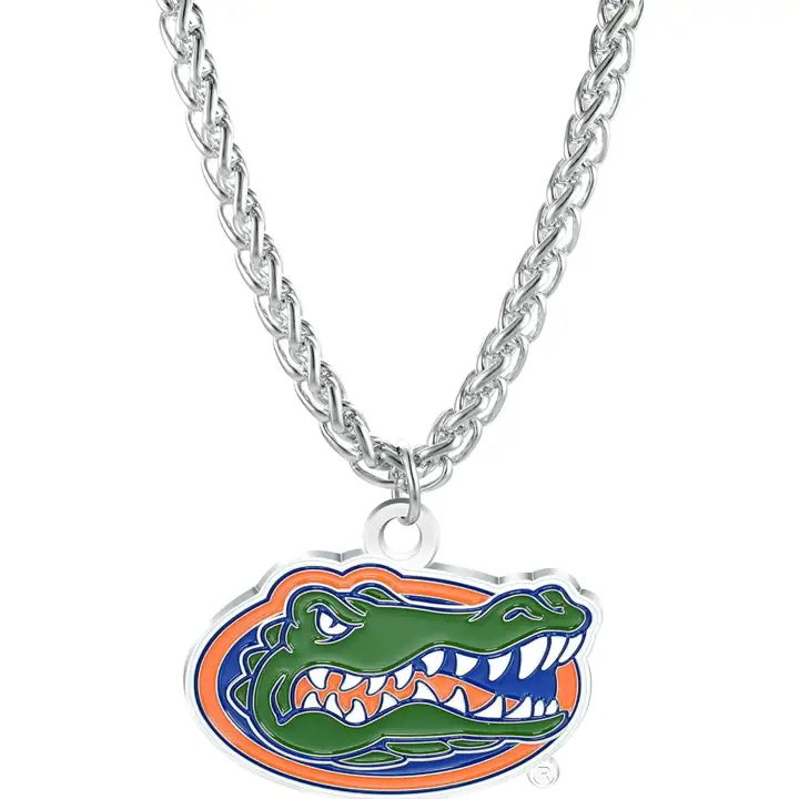 Floride Équipe Logo Collier Aminco bleu