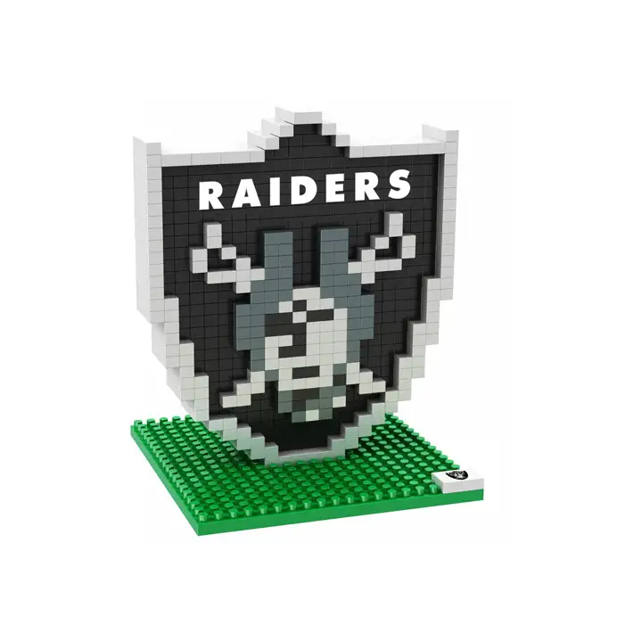 RAIDERS 3D BRXLZ - LOGO AST