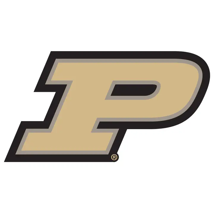 "Enseigne en bois découpée à logo vieilli Purdue 24" (noir/or)"