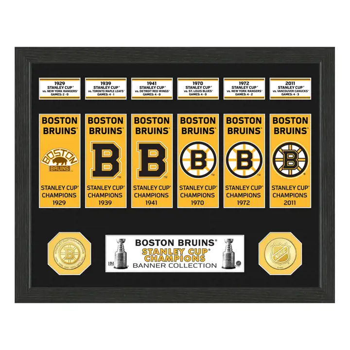 Pièce de monnaie "Bruins Banner Photo Mint" - Bronze Ast