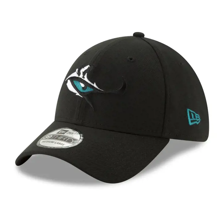 Collection d'éléments du logo NFL des Jacksonville Jaguars 39THIRTY
