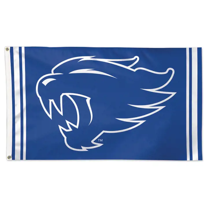 Drapeau de luxe Kentucky 3x5 bleu/blanc