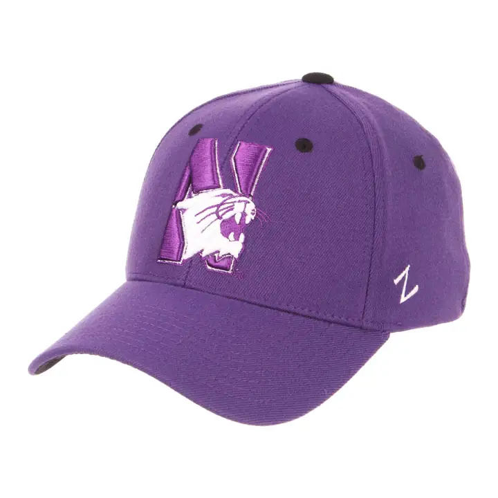 Northwestern Wildcats NCAA ZH Stretch PUR