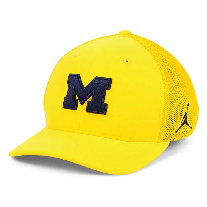 Michigan Wolverines NCAA COL ARO Jordan Swooshflex gl