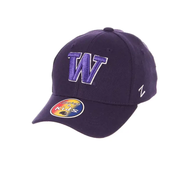 Washington Huskies NCAA ZH YTH Flex violet