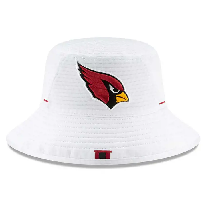 Arizona Cardinals 19 NFL Kids Training Bucket BLA
