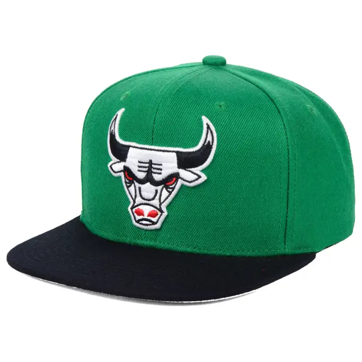 Chicago Bulls NBA MN Basic SH Snapback VERT/NOIR