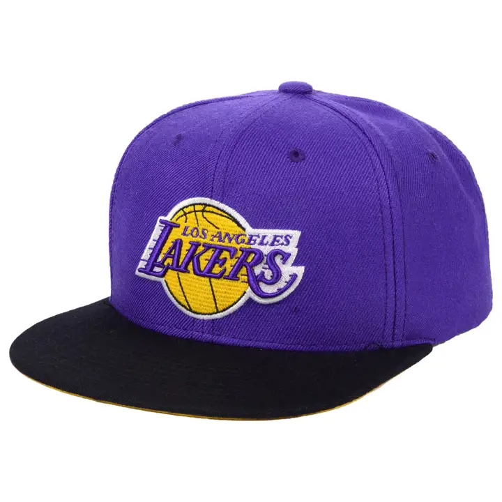 Casquette Snapback Basique Los Angeles Lakers NBA MN PUR/BLK