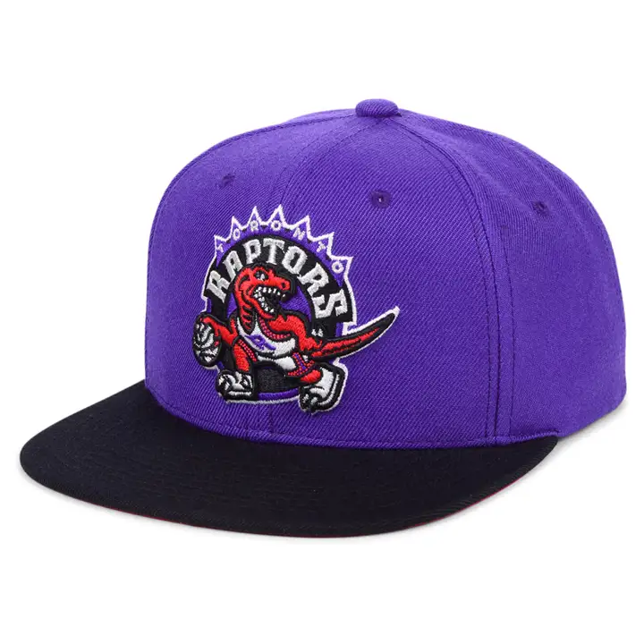 Casquette à visière plate Toronto Raptors NBA MN Basic SH Snapback PUR/BLK
